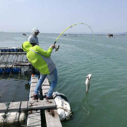 硬海筏海钓船钓远投抛竿M调玻璃钢矶钓筏钓竿八爪鱼白果子竿 - 图1