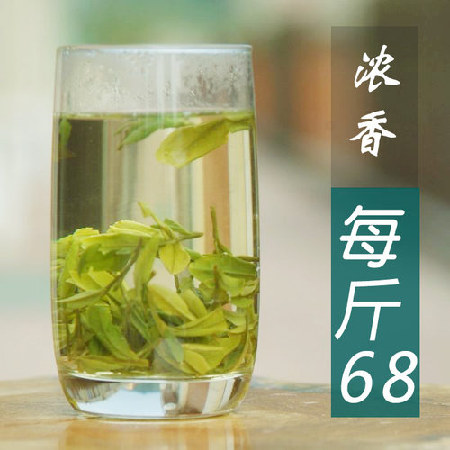 2026年新茶500g春茶龙井茶茶农茶叶绿茶新昌大佛龙井浓香龙井茶叶 - 图2