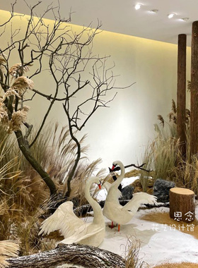 干花天然芦苇花仿真草道具摆件粗木桩木头假树桩摄影商场橱窗展厅