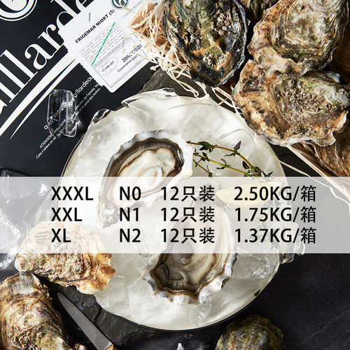 进口法国原装生蚝 吉娜朵官方授权店 N1 12只鲜活 牡蛎 - 图1