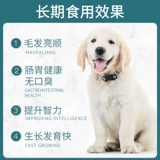 Гуанбанг корм для собак молочной железы собаки беременная собака щенки 10 кг20 кг20 котлисты золотисто