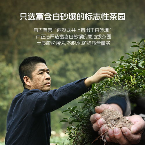 2024新茶上市卢正浩明前特级西湖龙井茶春茶绿茶狮峰茶叶罐装50g