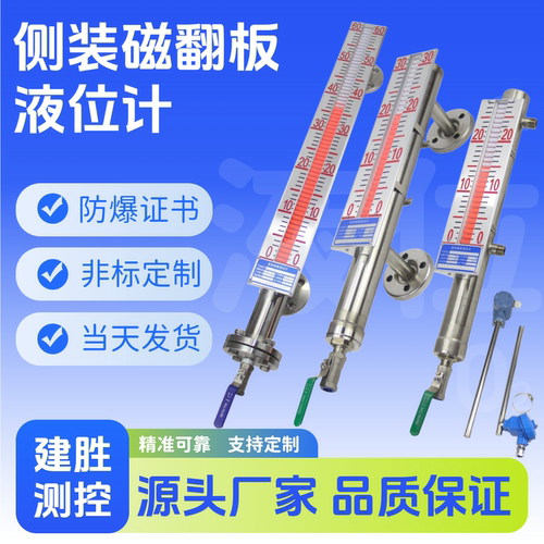 磁翻板液位计远传变送器磁性翻板PP衬四氟PVC高压高温防腐防爆 - 图2