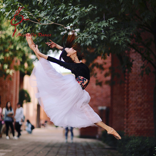 Michelle Dance 首席同款芭蕾钟形裙 吉赛尔之梦灰姑娘白色长款 - 图2