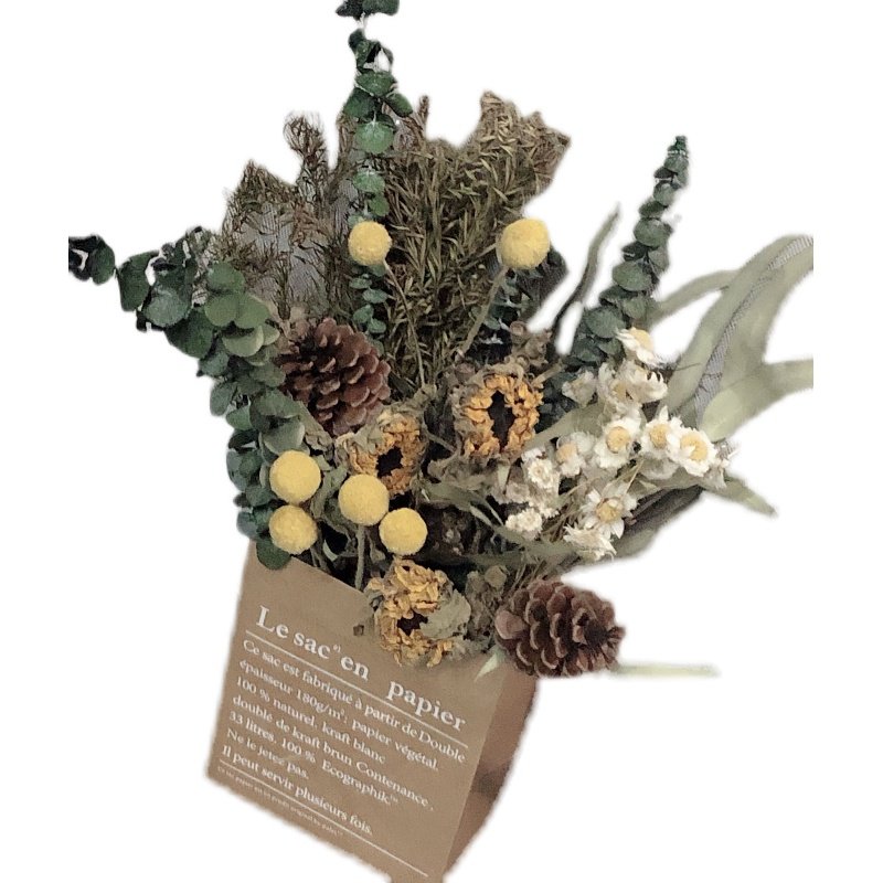 美式乡村干花纸皮抱袋组合永生尤加利丹斯菊太阳花向日葵花艺摆件,淘宝优惠券,粉丝福利购,淘宝优惠卷