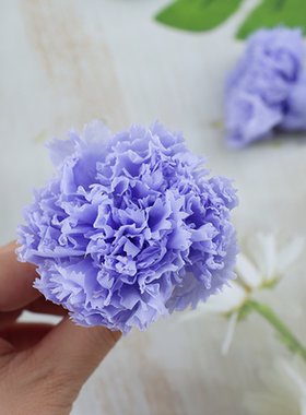 永生花康乃馨母亲节礼盒手工DIY