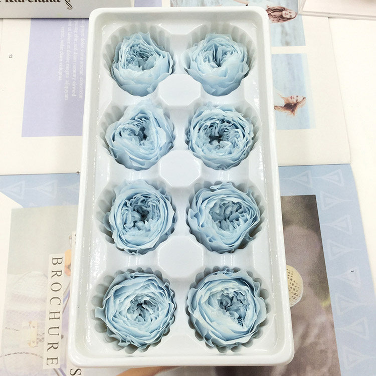 情人节永生花A级4-5cm盒装奥斯汀保鲜玫瑰diy玻璃罩现金礼盒胸花