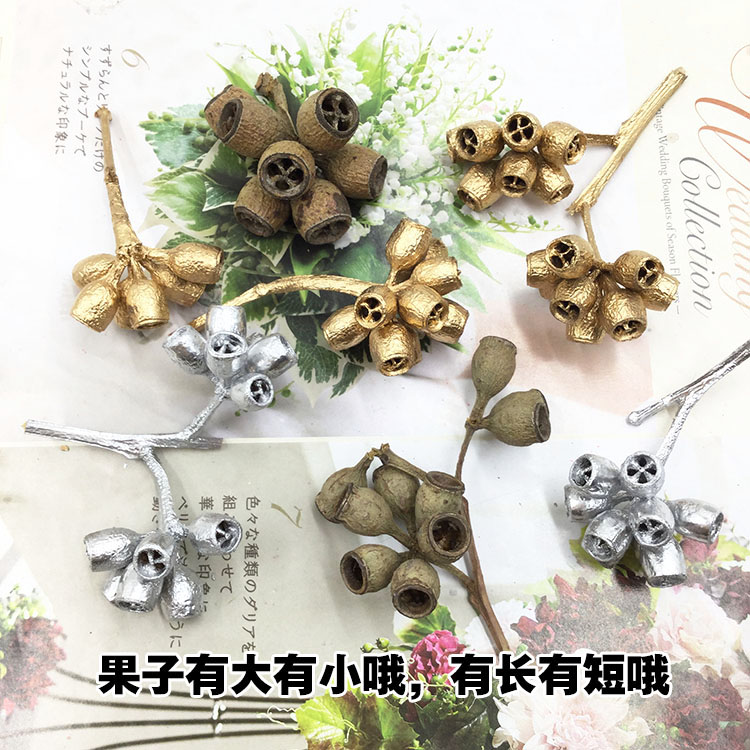 花掌柜永生花桉树果实僵尸果干果diy情人节新年玻璃罩礼盒配材料-图1