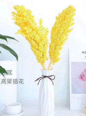 干花高粱永生花装饰摆件ins文艺