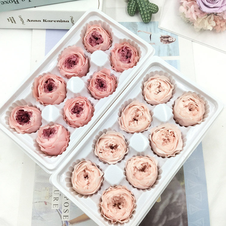 情人节永生花A级4-5cm盒装奥斯汀保鲜玫瑰diy玻璃罩现金礼盒胸花