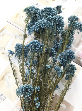 永生花干花小米花diy花束礼盒