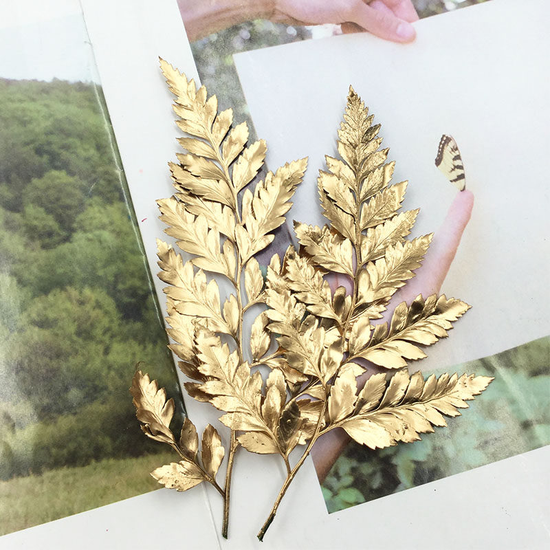 永生花配叶高山羊齿金银彩色蕨叶diy情人节新娘头饰花环车挂材料