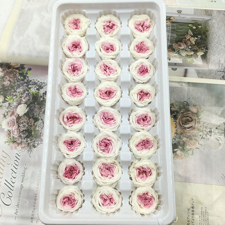 情人节永生花奥斯汀小号2-3cm巧克力玫瑰diy新年手工婚礼鞋盒材