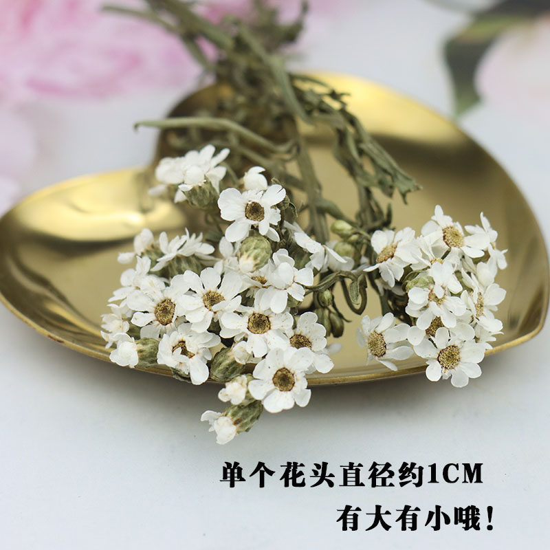 520永生花黛西白梅保鲜小雏菊婚礼鞋盒花束diy情人节新年礼盒配材