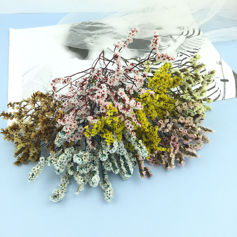 永生花水晶草告白礼物diy情人节礼盒花材天然花束真花玻璃罩配材