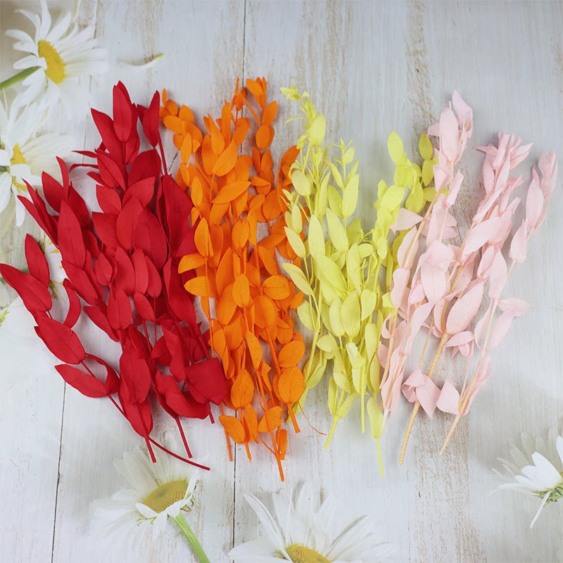 情人节永生花diy手腕花配叶美叶桉尖尤加利竹叶手工制作玻璃罩礼