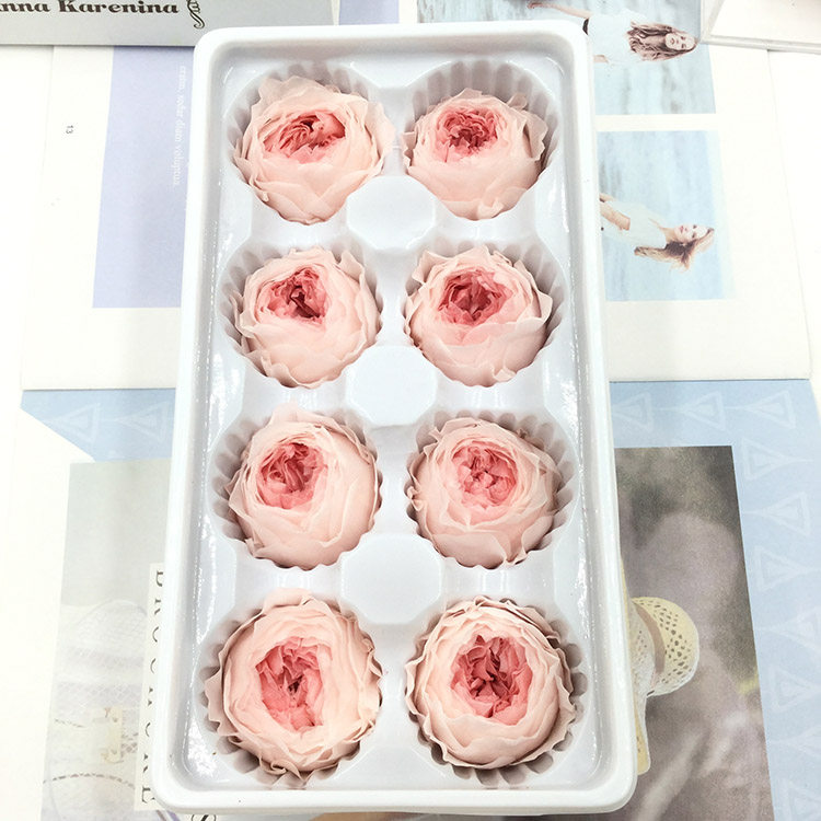 情人节永生花A级4-5cm盒装奥斯汀保鲜玫瑰diy玻璃罩现金礼盒胸花