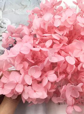花掌柜A级安娜小叶绣球永生花材diy亚克力材料真花手工玩偶手办