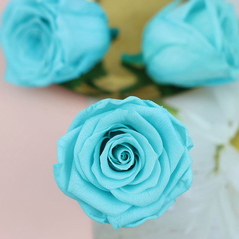 永生花4cm保鲜真花diy婚礼情人节礼盒手工玫瑰花熊花材料生日礼物