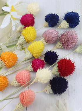 花掌柜干花草莓果宝石花diy七夕永生花束材料手工制作花瓶插花