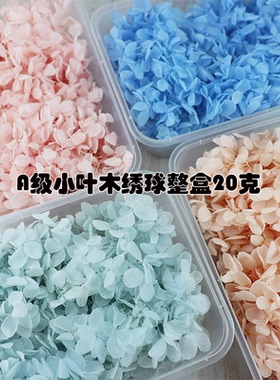 花掌柜A级永生花小叶木绣球花瓣diy手工定制玩偶手办婚礼插花材
