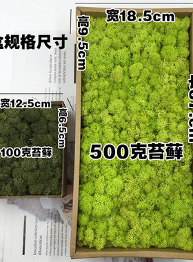 Diy背景墙永生花驯鹿苔藓微景观