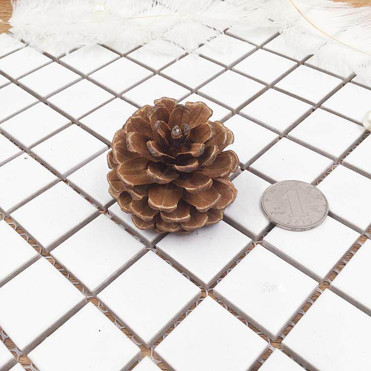 永生花配材天然圣诞松果实干花落叶松DIY情人节现金礼盒手工材料