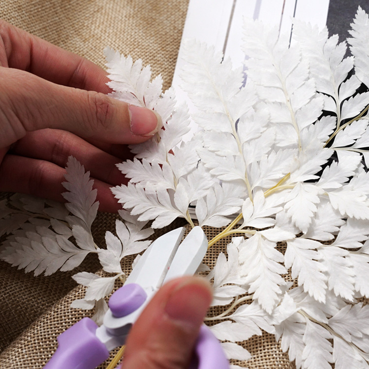 情人节永生花DIY材料尤加利美叶桉锯齿富贵叶高山羊齿石松龙须草