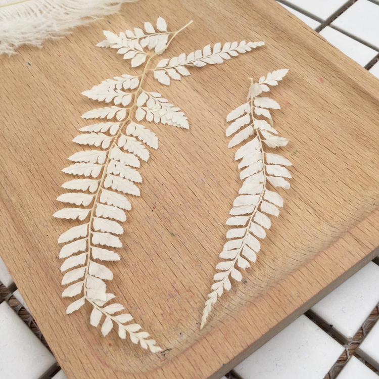 情人节永生花DIY材料尤加利美叶桉锯齿富贵叶高山羊齿石松龙须草