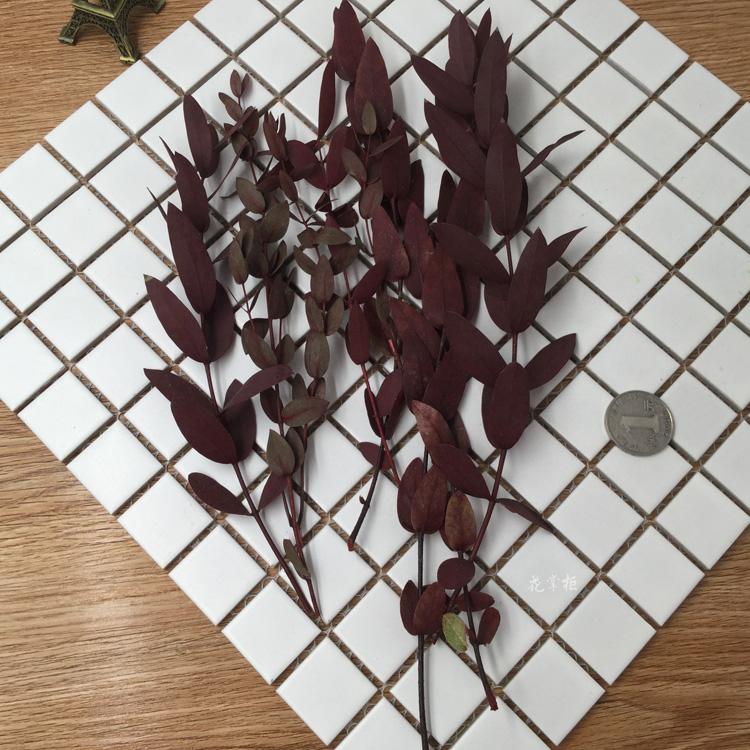 情人节永生花DIY材料尤加利美叶桉锯齿富贵叶高山羊齿石松龙须草