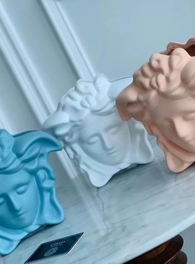 Home花瓶家居插花神话少女花器