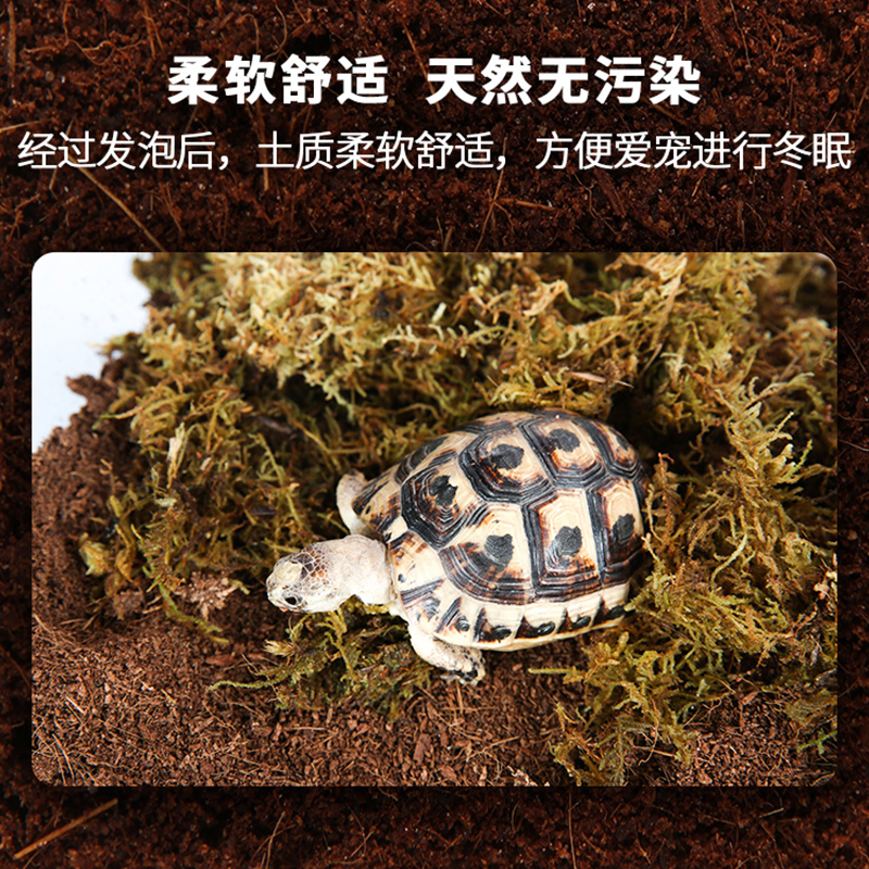 新派宠物reptizoo乌龟黄缘椰土爬宠椰砖苔藓角蛙冬眠沙子保暖垫材 - 图1