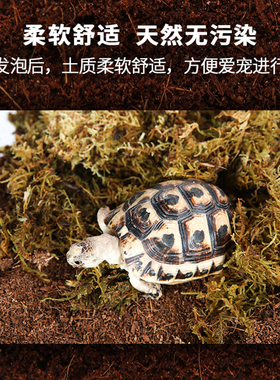 reptizoo爬宠垫材椰土椰砖苔藓