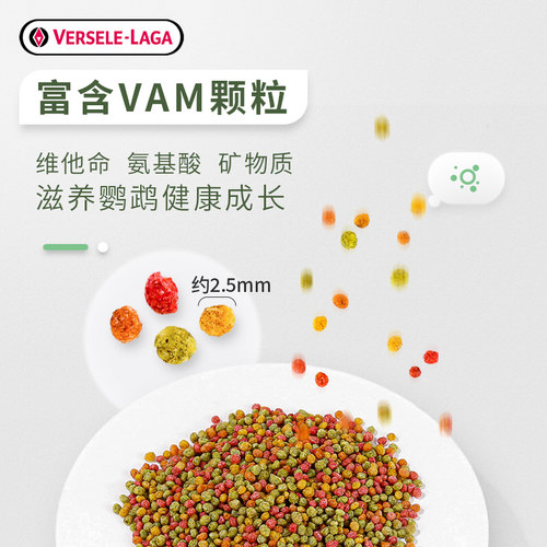 比利时凡赛尔虎皮鹦鹉专用鸟粮玄凤牡丹鸟食小颗粒谷子饲料混合粮 - 图1