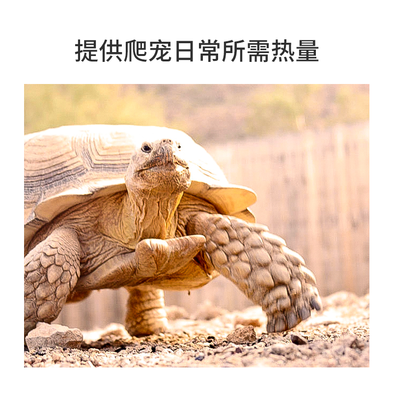 新派宠物reptizoo爬宠UVA加热灯泡蜥蜴乌龟晒背日灯保温取暖节能 - 图1