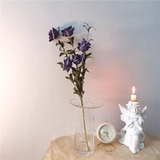 * Красивая маленькая тетя* Инс Ханфенг Плака