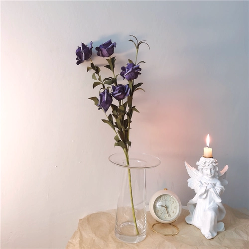 * Красивая маленькая тетя* Инс Ханфенг Плака