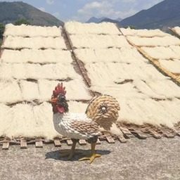 潮州特产正宗潮州凤凰米粉纯手工零添加纯天然食品手工米线1500g,淘宝优惠券,粉丝福利购,淘宝优惠卷