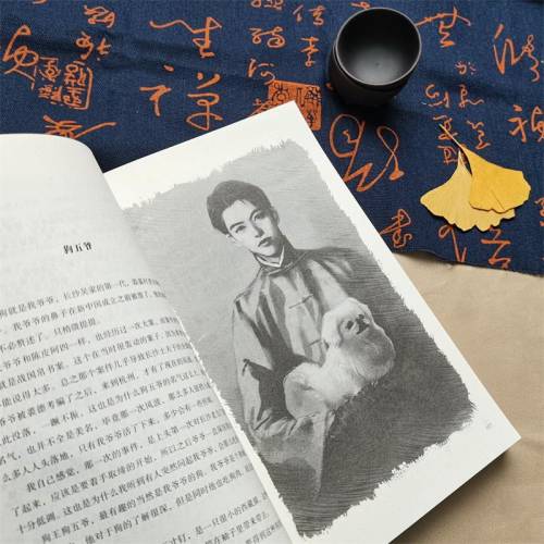 吴邪的私家笔记 南派三叔小说 吴邪的盗墓笔记 湘西往事 及老九门人物番外 磨铁图书 正版 藏海花 沙海 十年 - 图3