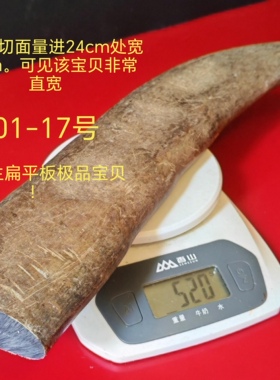 M01黑水牛角实心无裂原材料弹弓刀柄刀鞘切片手把件扳指镇纸吊牌