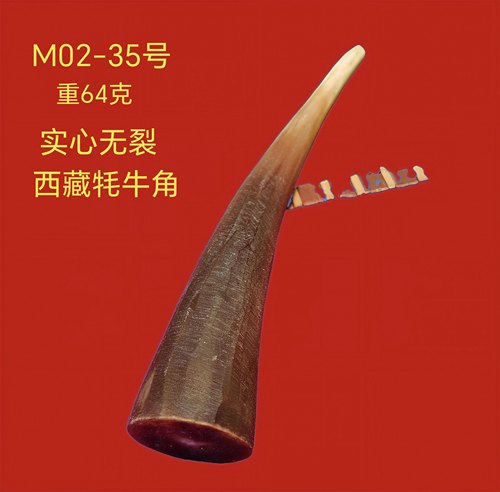 M02天然西藏血色牦牛角原料大头直径1.3-2.0厘米实心小段尖材料 - 图0