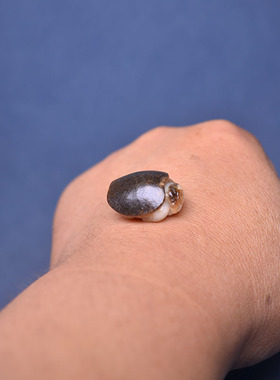 5克黑皮白玉籽料龙龟戒面手机挂