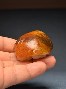 红皮黑皮白玉独籽龙龟手把件镇纸