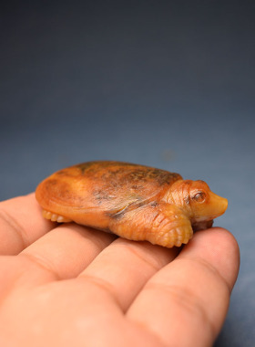 黄沁独籽老鳖把件腰挂件仿生玉雕