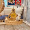 Parrot toys pirate ship swinging swings and self-relieving entertainment bird cage stand peony black phoenix monk tiger skin