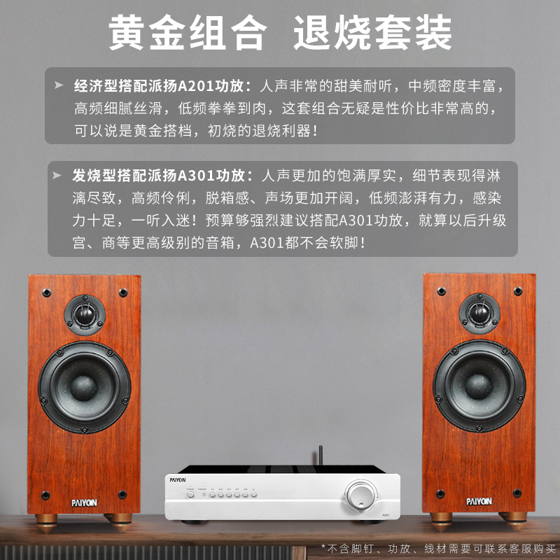 PAIYON派扬P6发烧HIFI书架音箱响原装进口原vifa喇叭无源高保真-图1