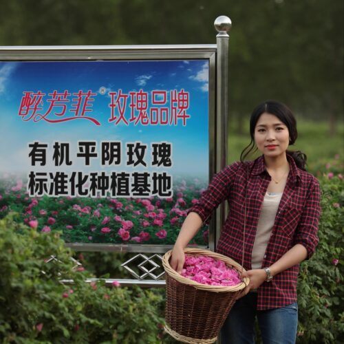 平阴食用重瓣红玫瑰干花瓣正品低温无硫做阿胶糕玫瑰醋用包邮 - 图0