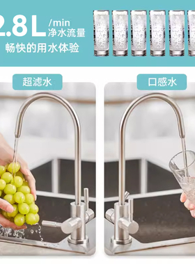 立升婴爱复合净水器直饮