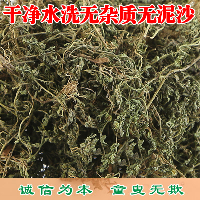 鹅不食草包邮野生新鲜鹅不食草粉吃中药材鹅不食草粉末鼻粉100克 - 图0