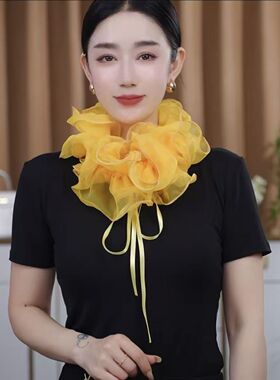2026新款网红同款假领子围脖+